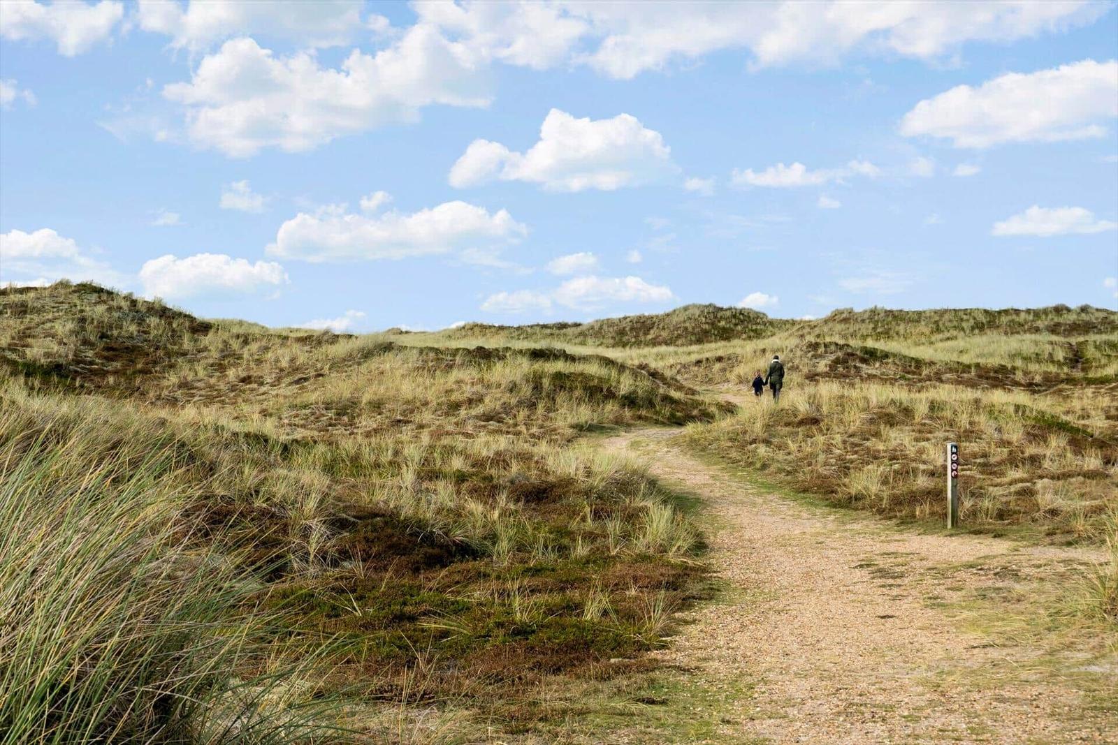 A hiking trail through sandy dunes under a blue sky with two people in the distance.