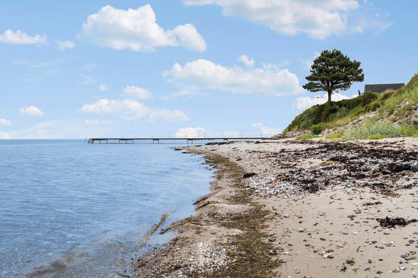 Strand mit Steinen und einem Steg ins Wasser. Ein Baum auf einer grünen Anhöhe.