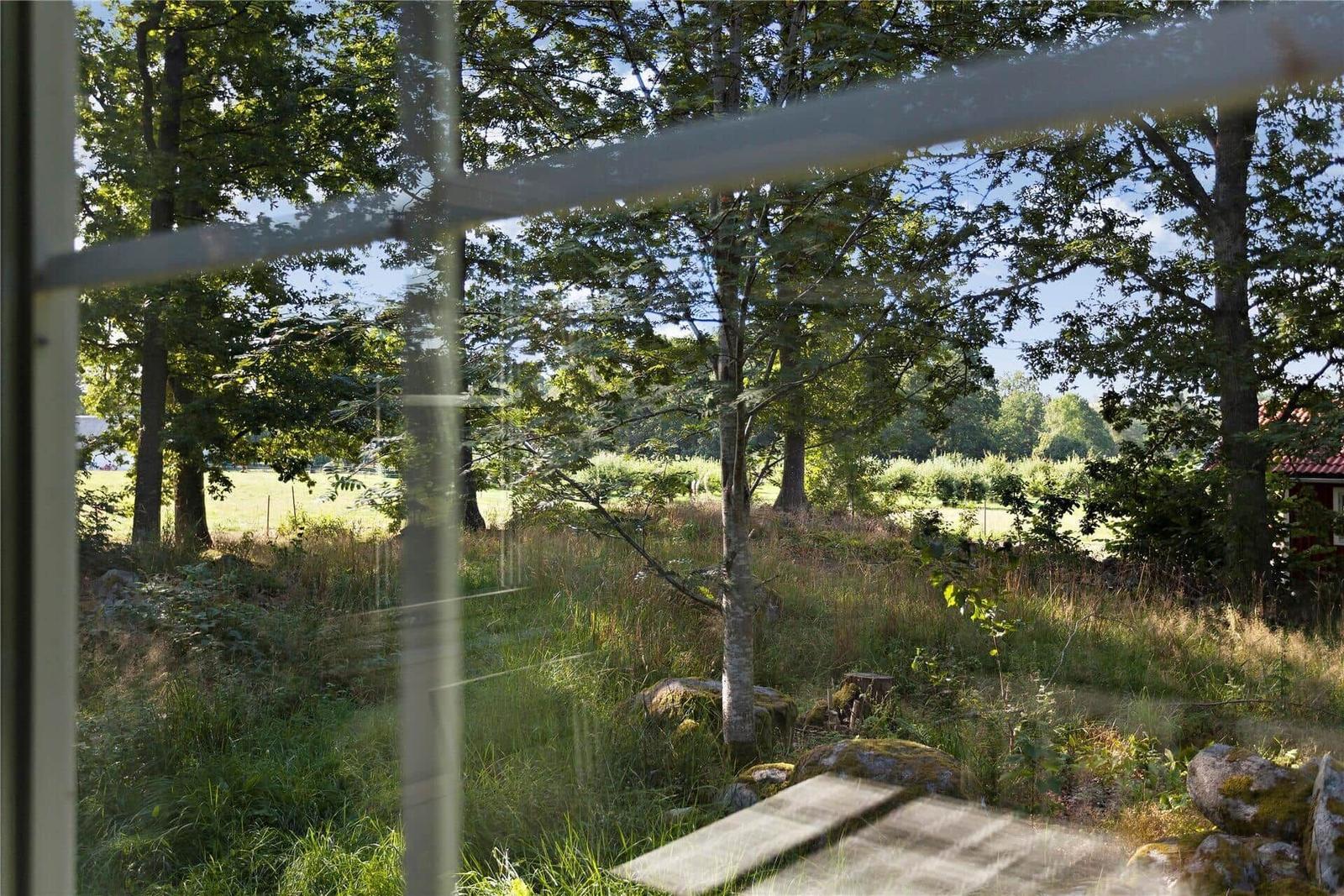 View through window shows green garden with trees and a red house.