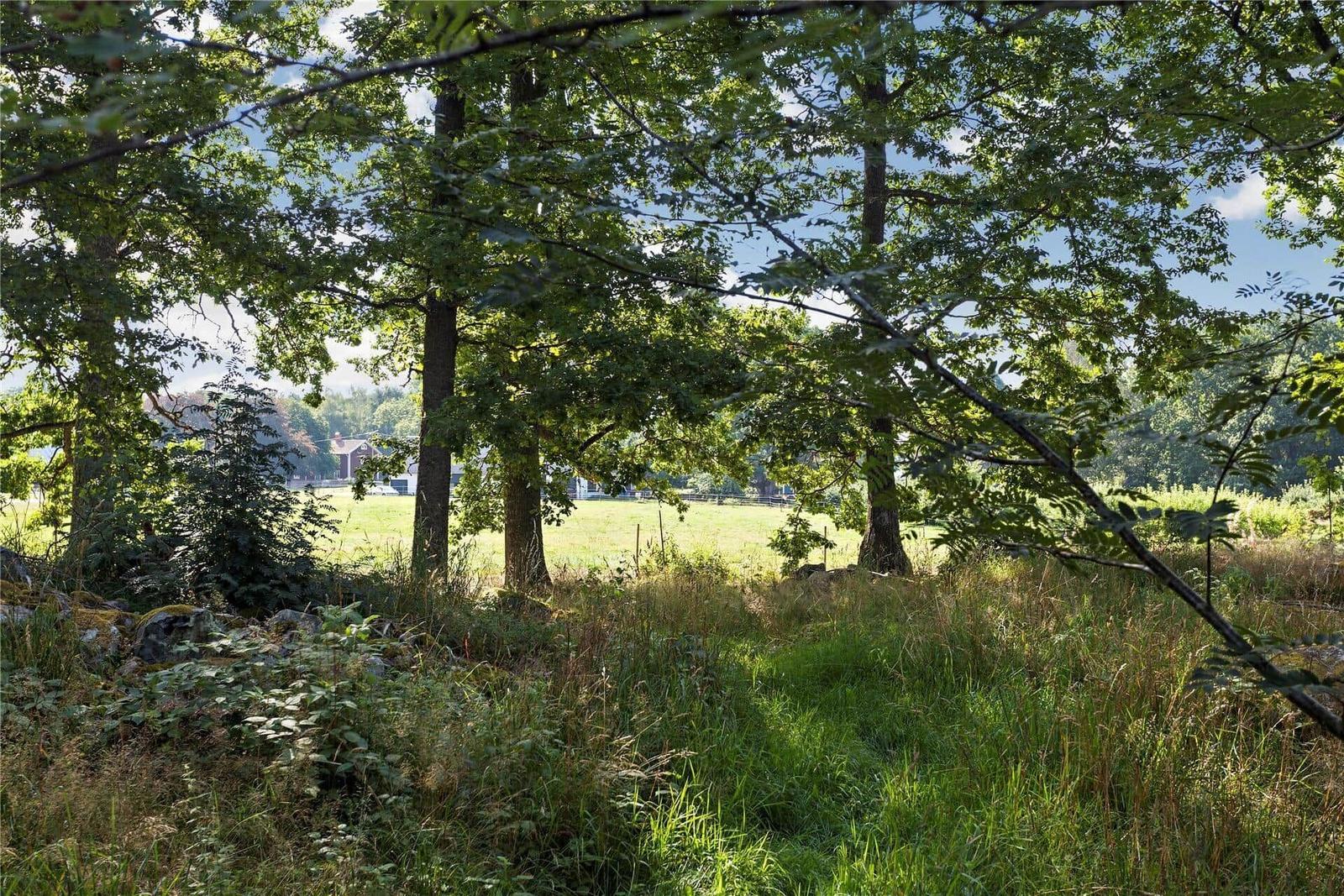 Green field with trees and a house in the background.