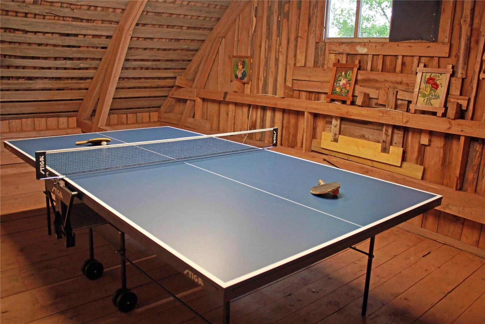 Ping pong table in rustic room with wooden walls and window