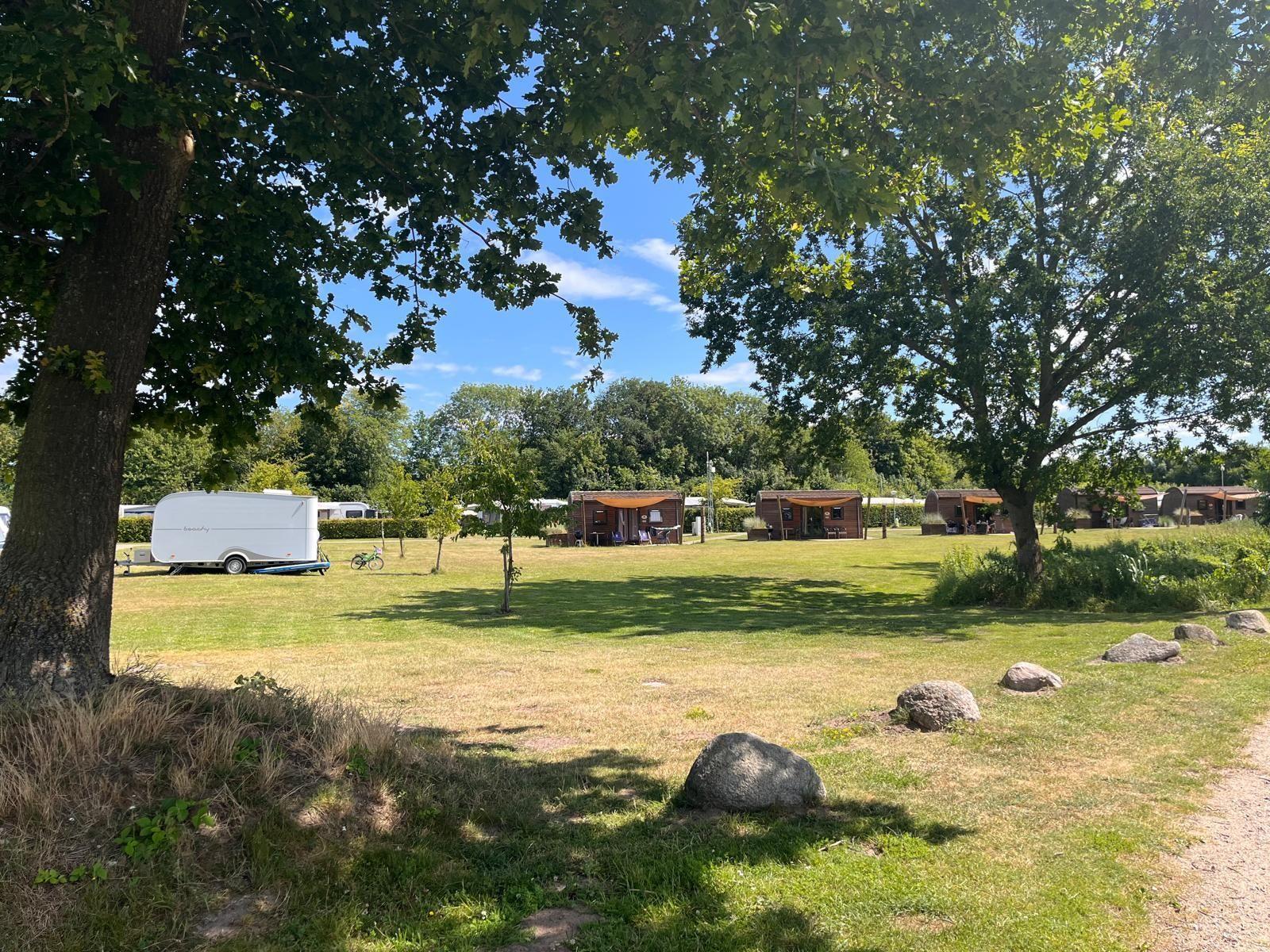 Grüner Campingplatz mit Holzhütten und Wohnwagen unter Bäumen.