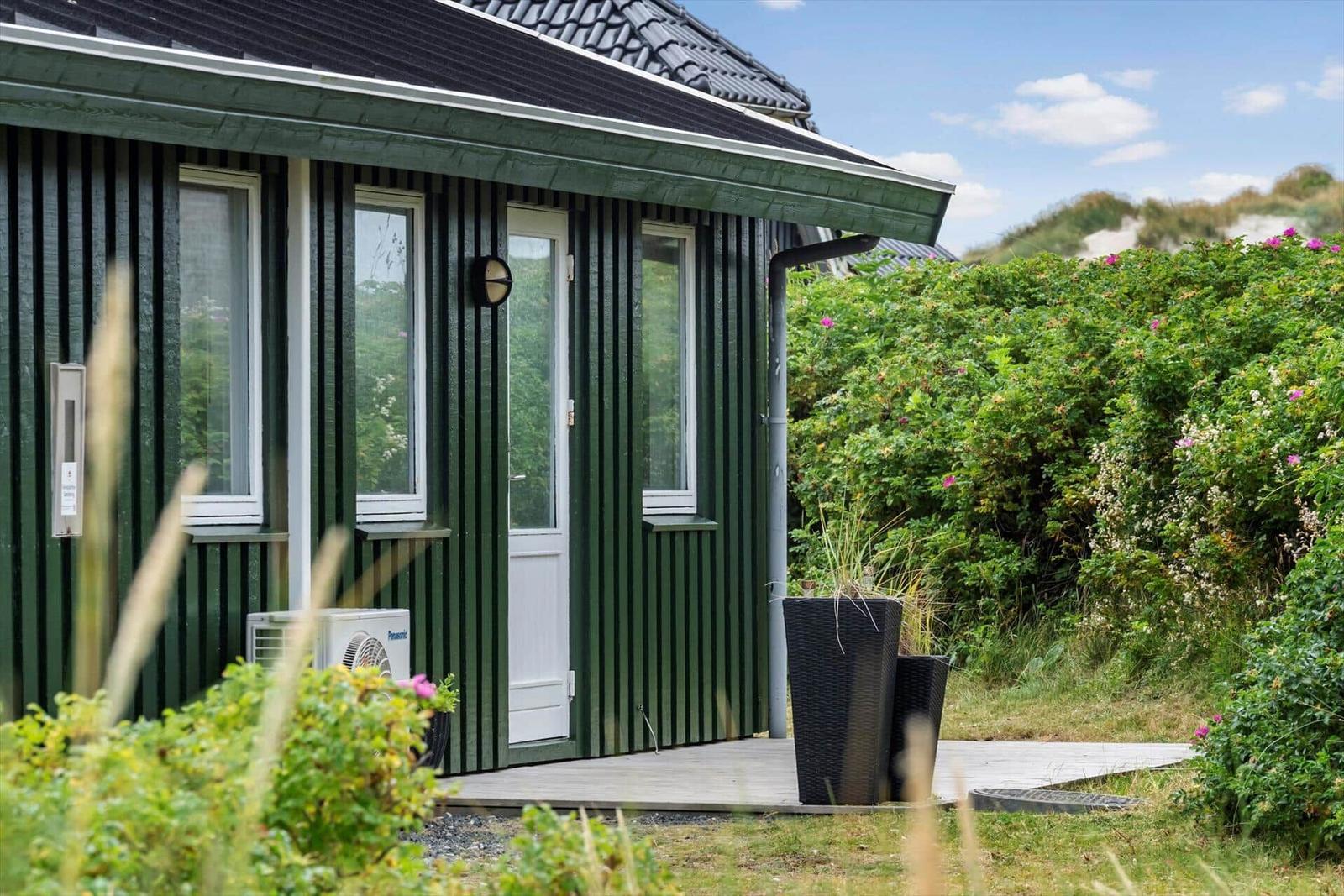 Grünes Holzhaus mit weißer Tür und Fenstern. Garten mit Pflanzen und Blumen.