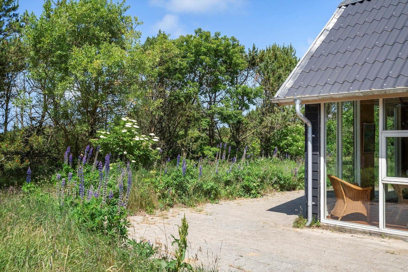 House with glass front and wicker chair in garden with purple flowers and trees.