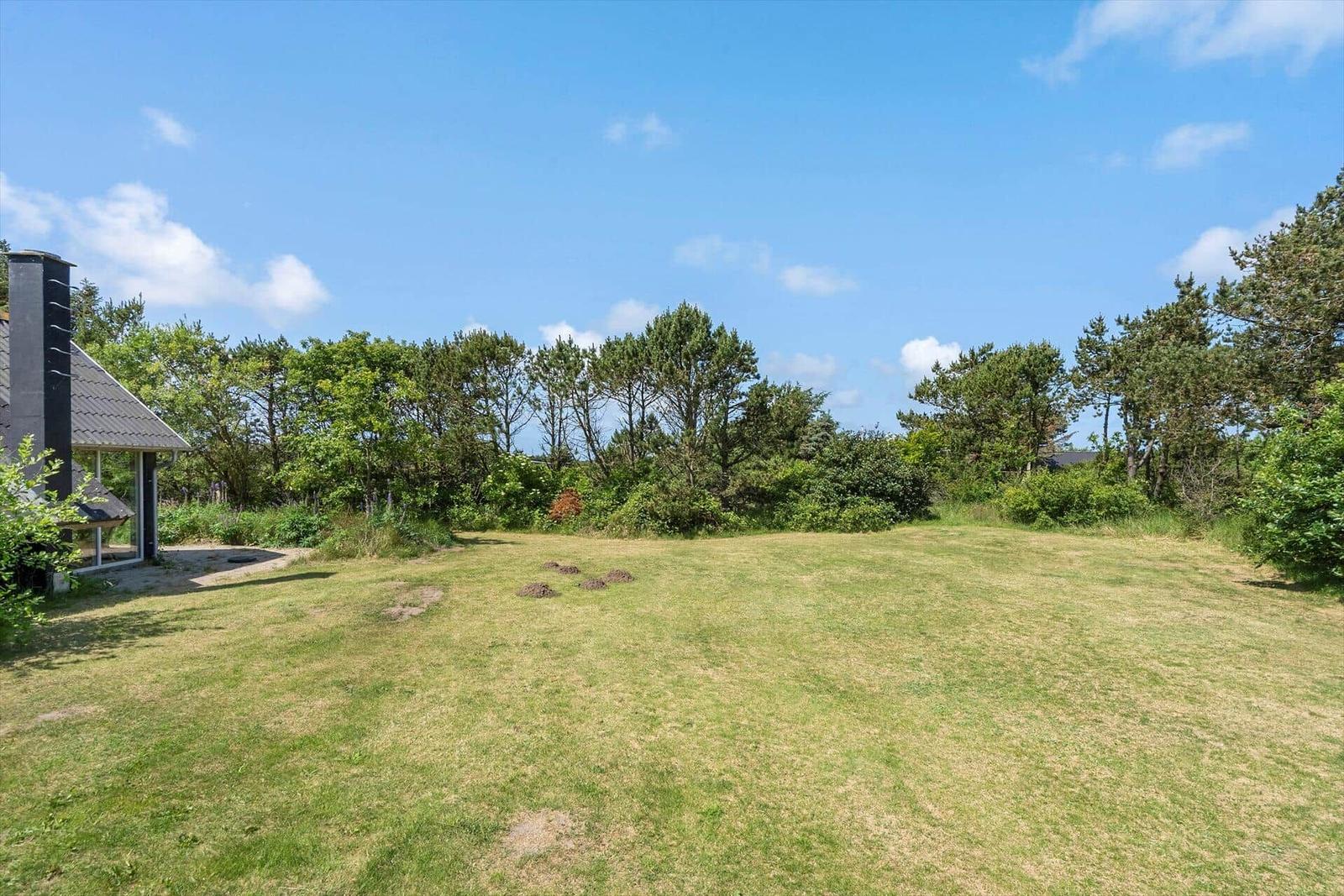 Lawn area with trees and part of the house.