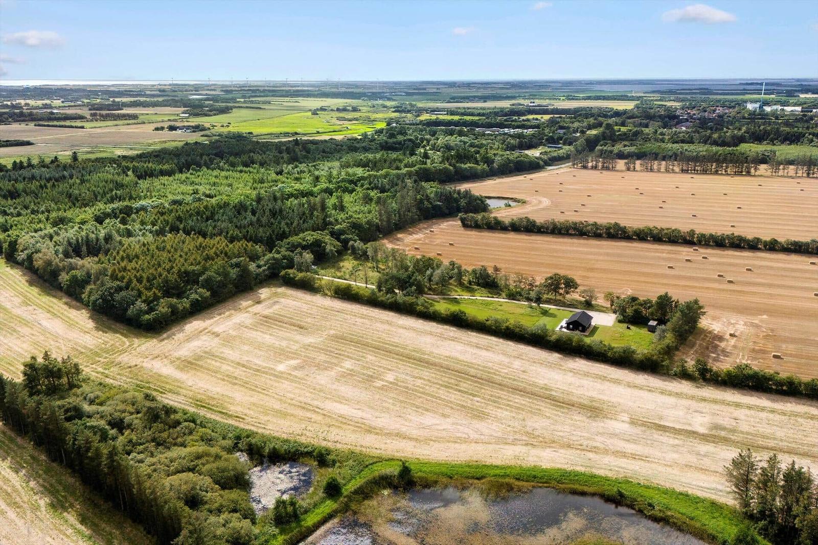 Ein kleines Haus in einer ländlichen Umgebung mit Feldern und Wäldern.
