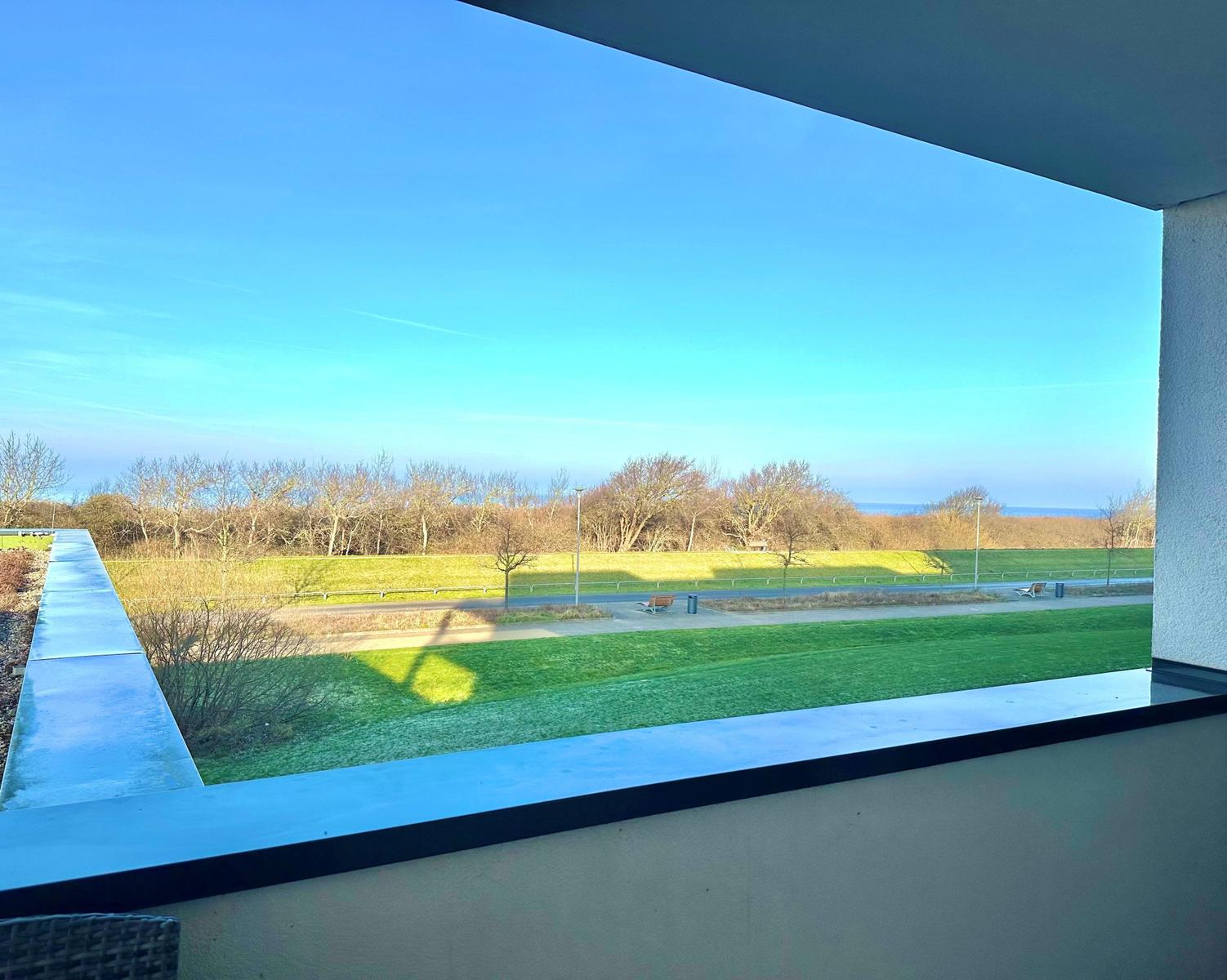 Blick von Balkon auf Grünfläche und Bäume unter blauem Himmel