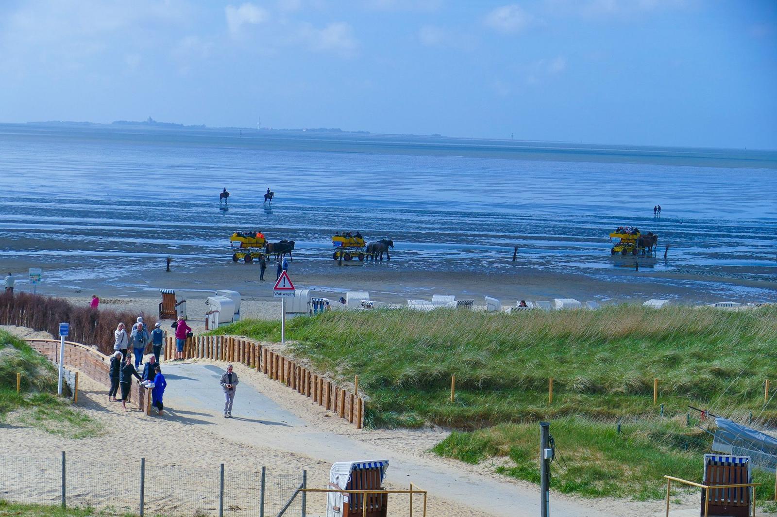Beach with horse-drawn carriages, riders, and visitors. Dune area with beach chairs.