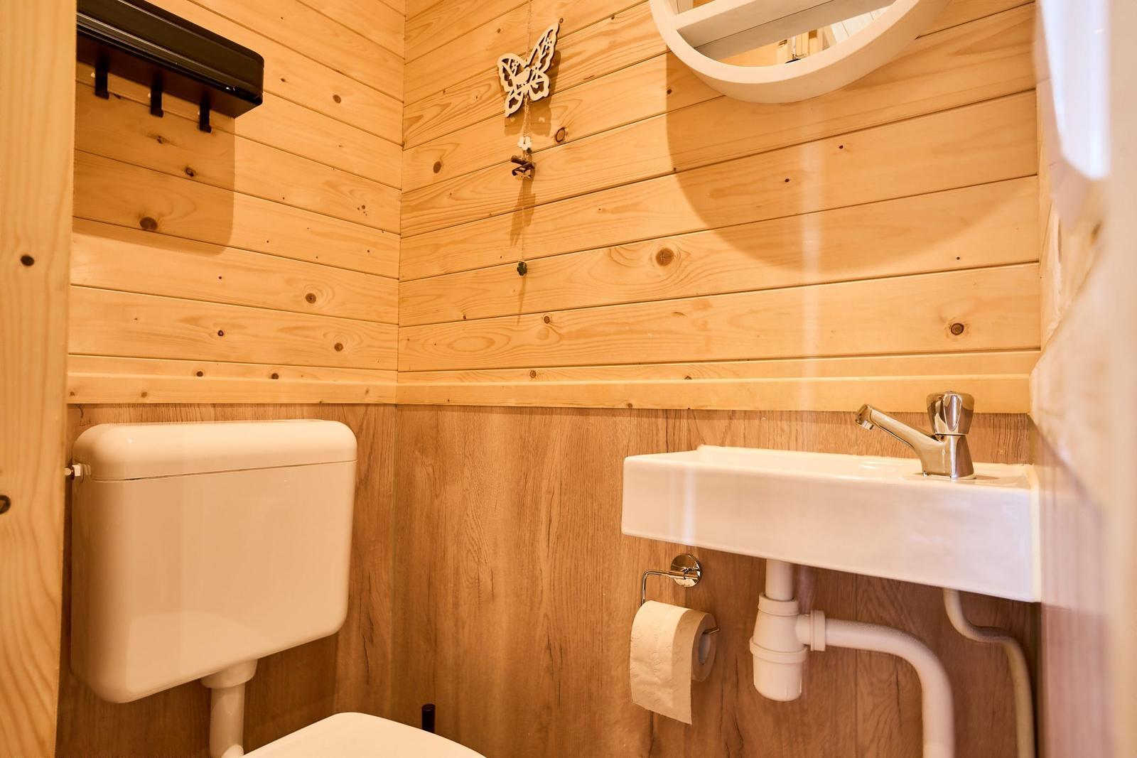 Badezimmer mit Holzwand, Toilette, Waschbecken und Spiegel