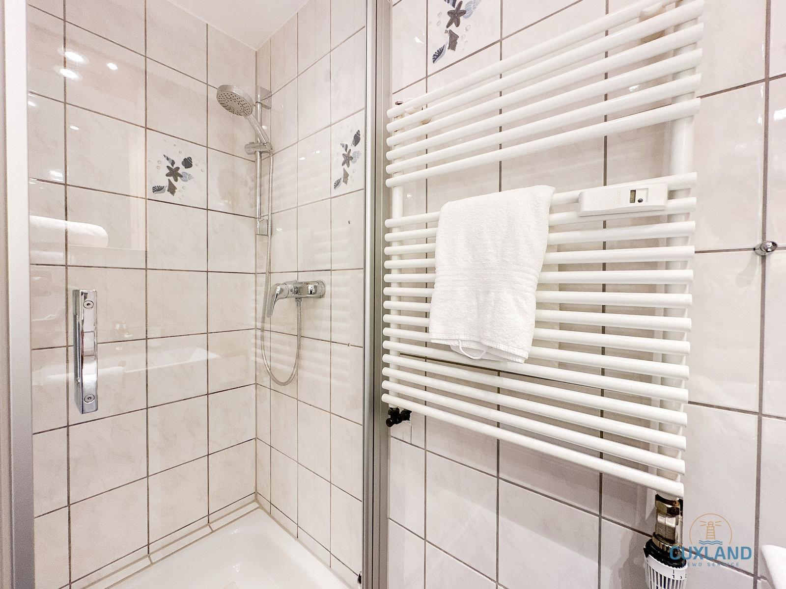 Dusche mit Duschbrause und Heizkörper mit Handtuch.