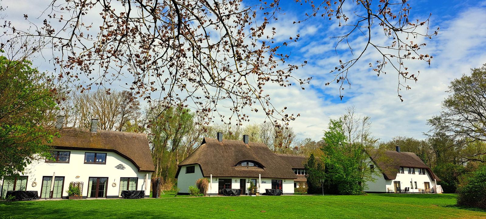 Haus Plötz, Barsch und Hecht