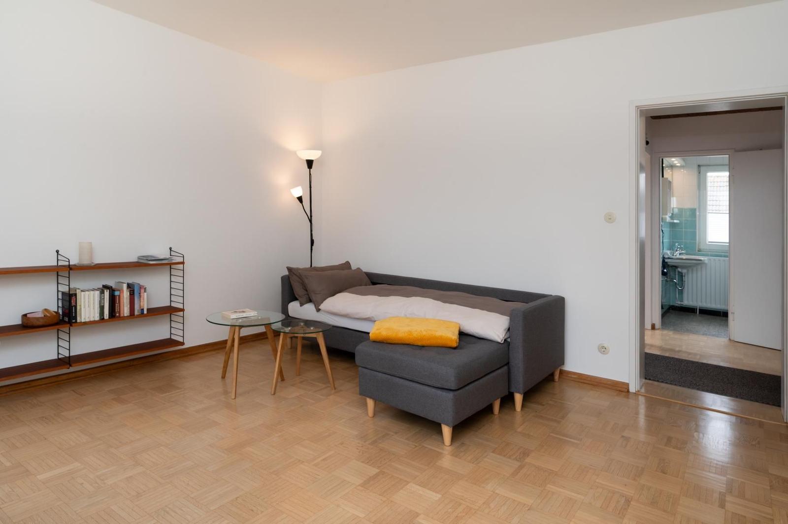 Zimmer mit Sofa-Bett, Bücherregal und angrenzender Badewanne.