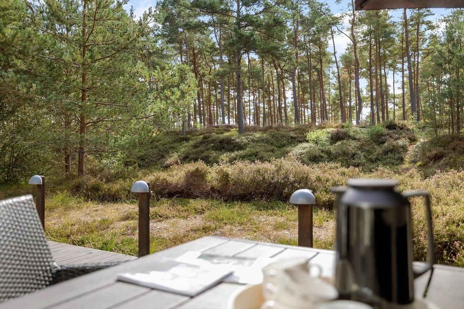 Terrasse mit Tisch und Stühlen, Blick in einen Wald mit Nadelbäumen.