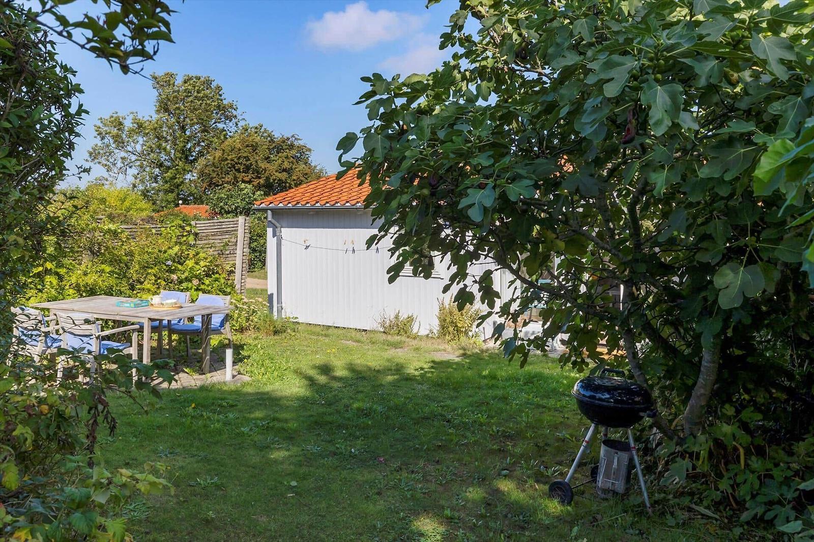 Backyard with table, grill, and fig tree. White cabin with red roof.