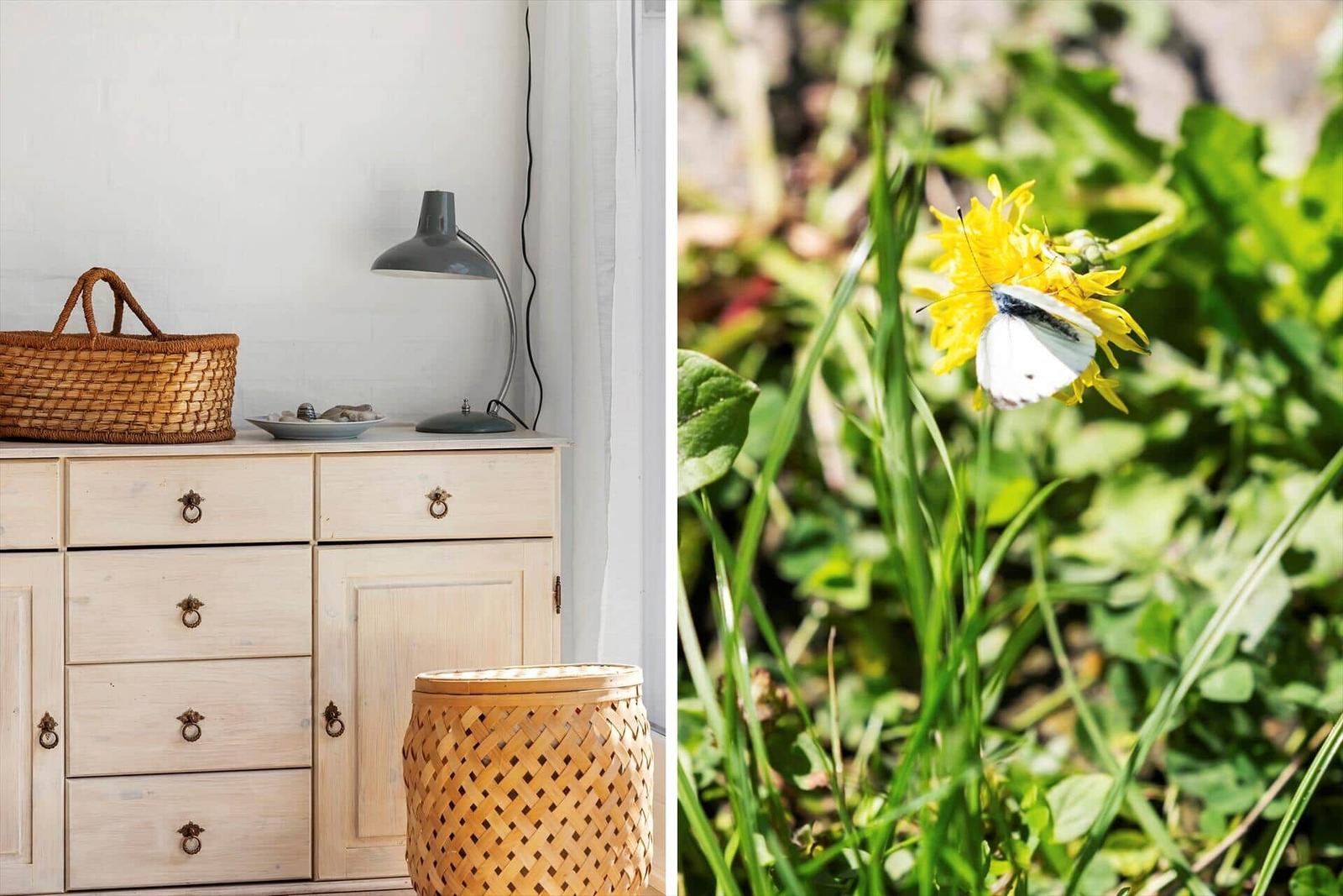Desk with basket and lamp. Butterfly on dandelion in garden.