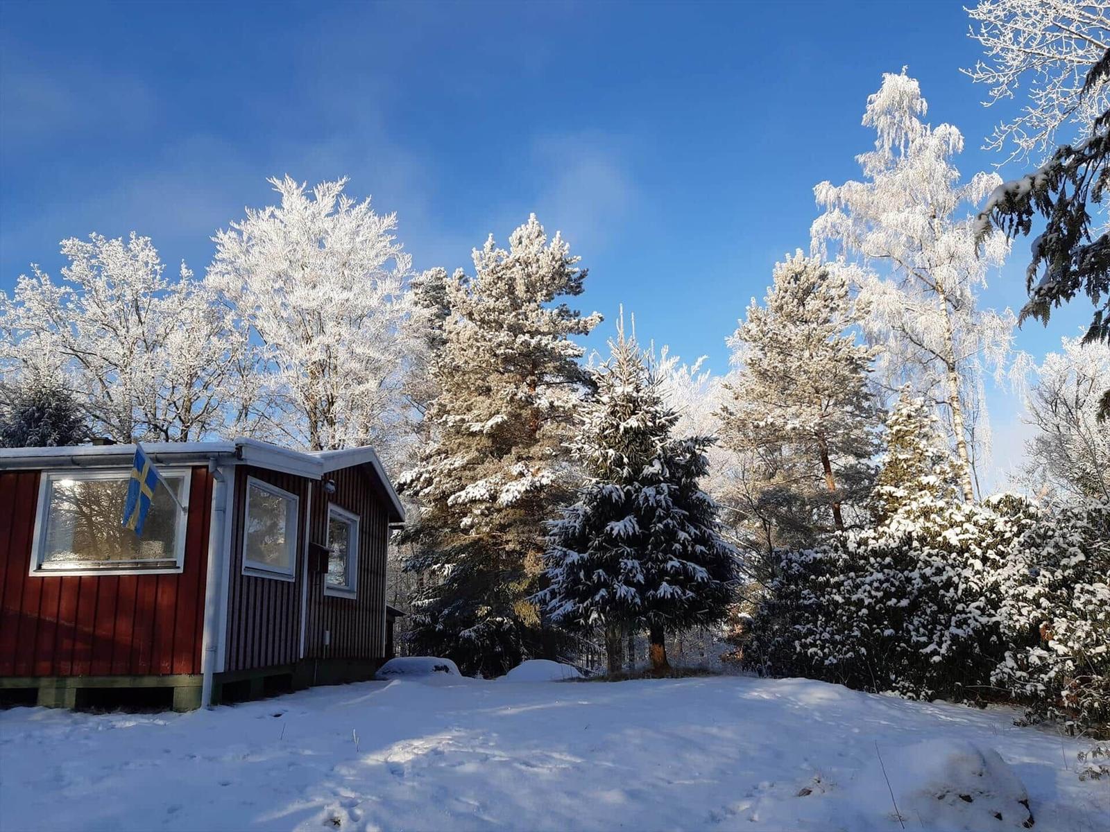 Rotes Holzhaus mit schwedischer Flagge, umgeben von schneebedeckten Bäumen unter blauem Himmel.