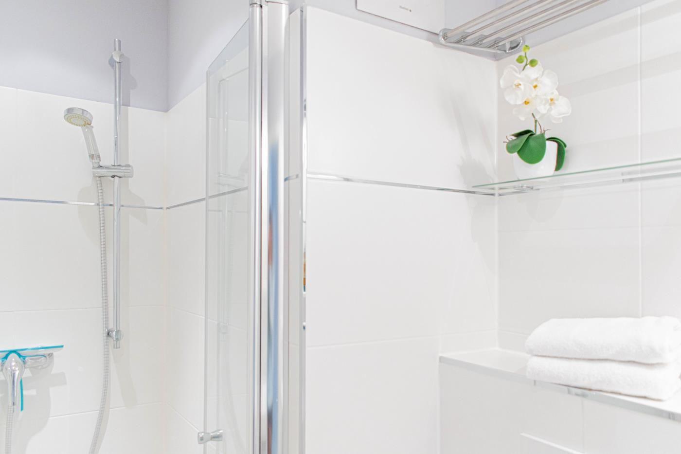 Dusche mit Glaswand, Handbrause und Handtuchhalter