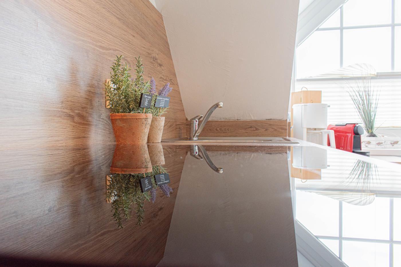 Küchenbereich mit Spüle, Pflanzen und Fenster.