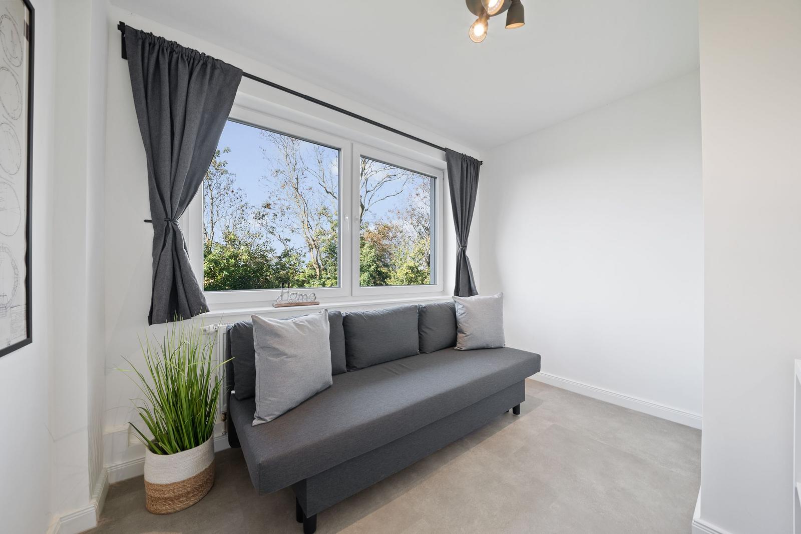 A room with gray sofa, window and plant.
