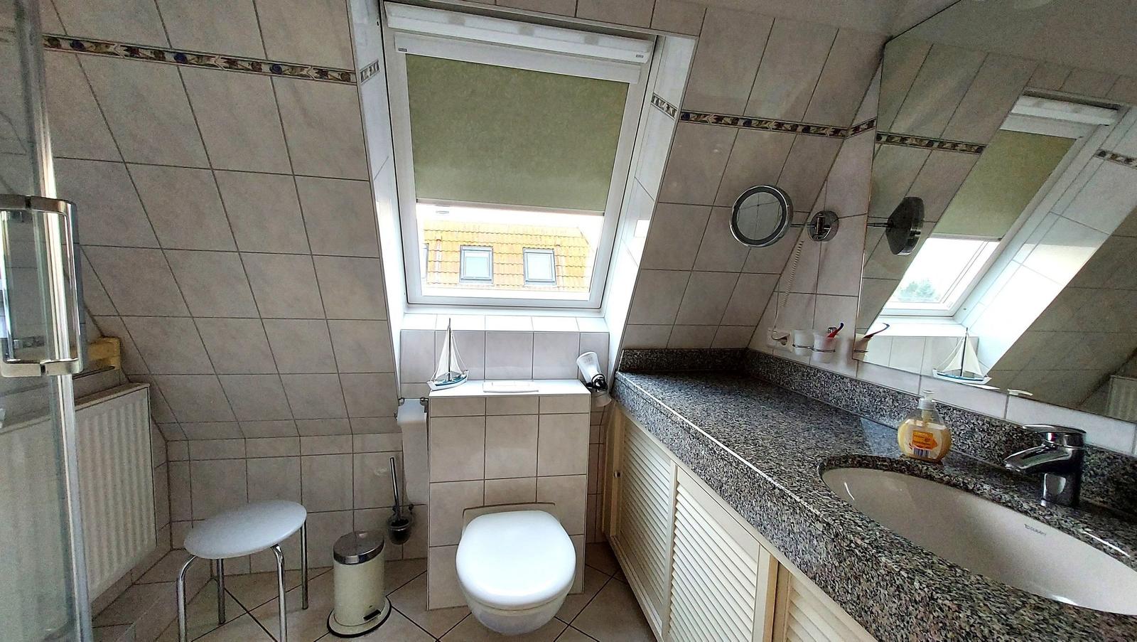 Badezimmer mit Dusche, Toilette, Waschbecken und Dachfenster.