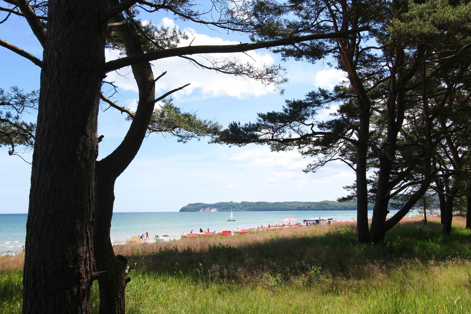 Blick durch Bäume auf Strand mit Segelboot und Strandkörben.
