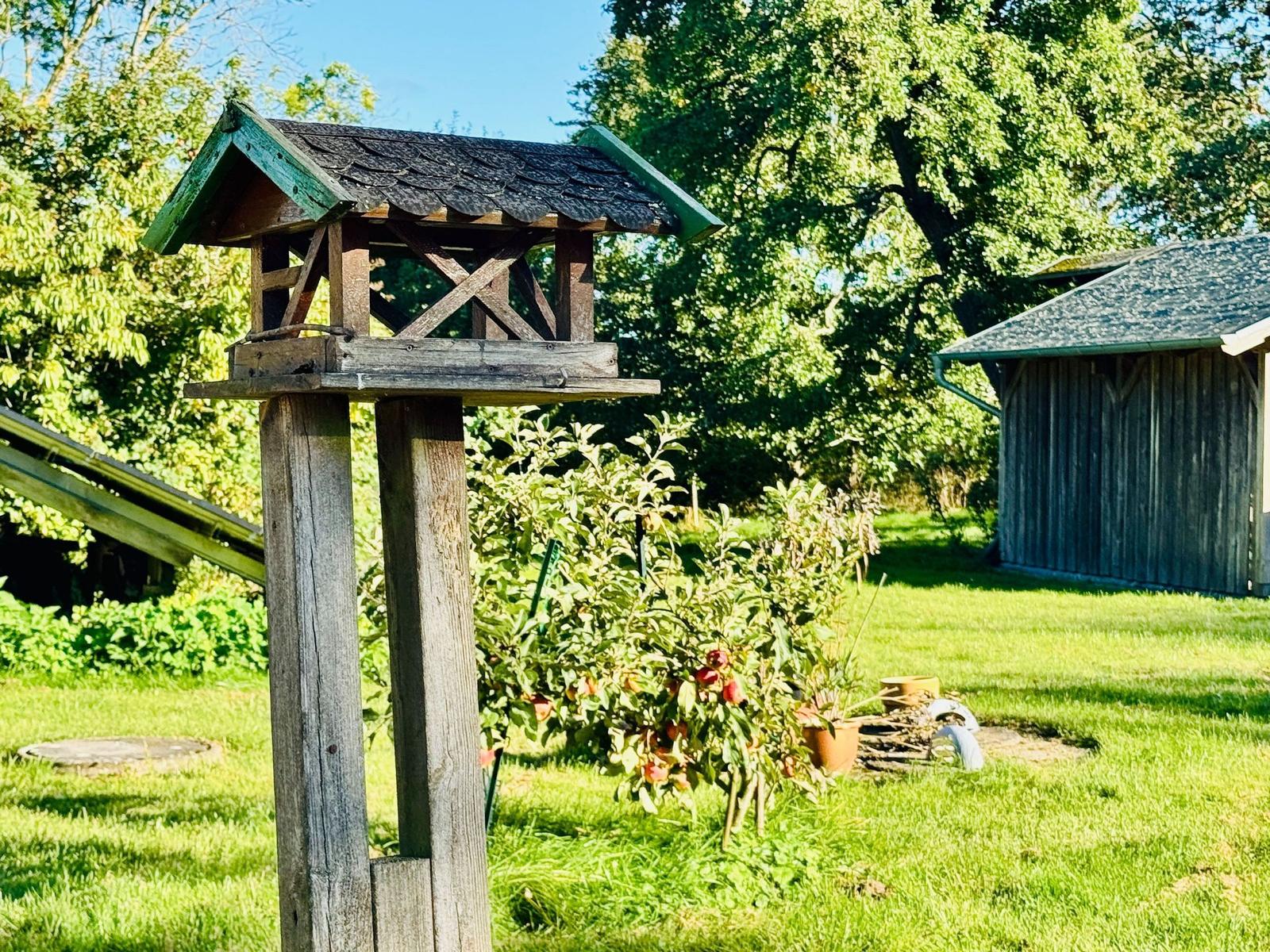 Höhenlage mit Vogelhaus, Obstbaum und Gartenhaus im Hintergrund.
