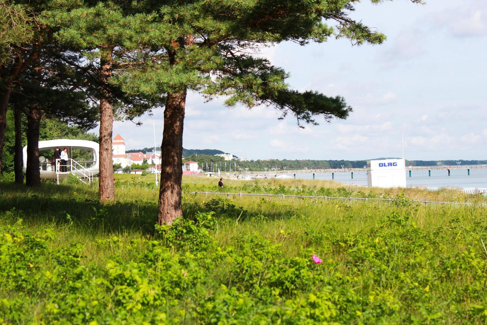 Grünes Gelände mit Bäumen, Blick auf Wasser und Strandbereich mit Bootshäuschen.