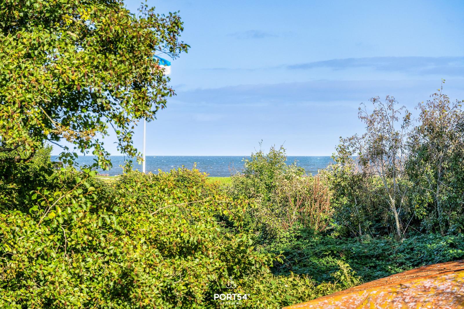 Meerblick durch grüne Vegetation mit Flagge im Hintergrund.