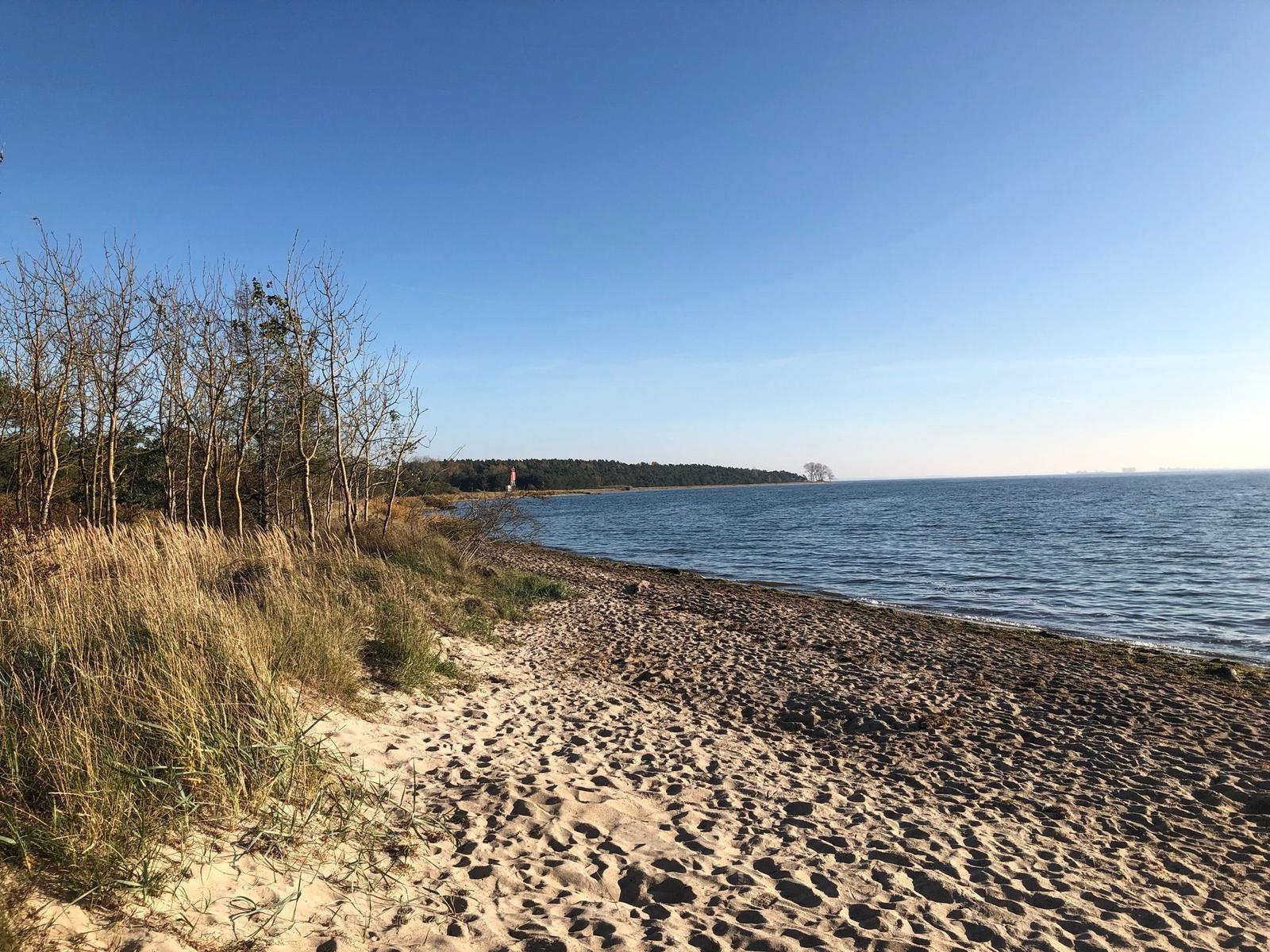 Strand mit Sand, Gras und Bäumen am Wasser.