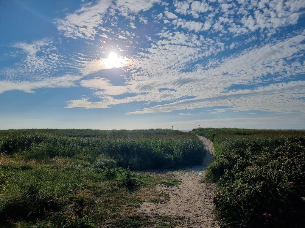 Ein sandiger Pfad führt durch grüne Wiesen unter einem blauen Himmel mit Sonne und Wolken.