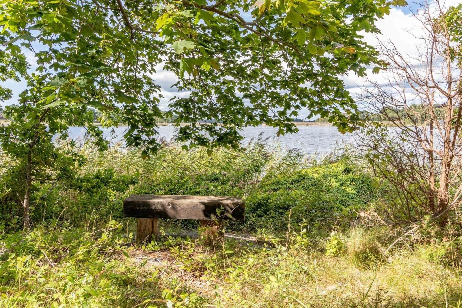 Holzbank unter Bäumen am Seeufer