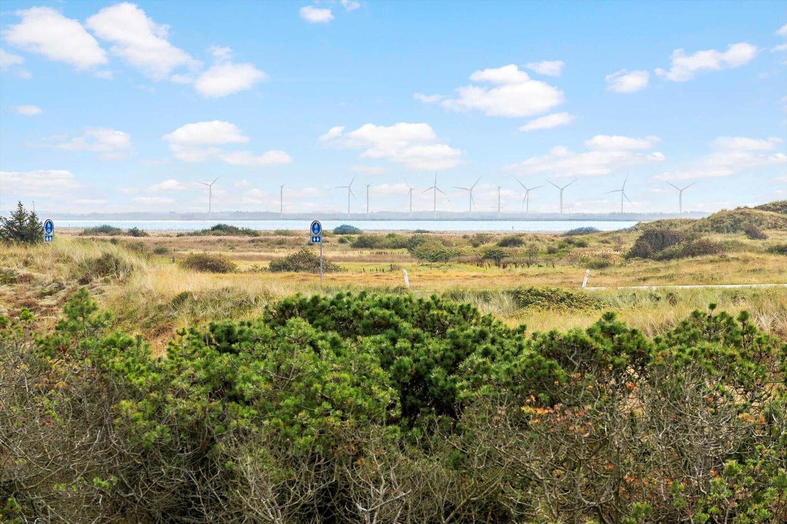 Wiesenlandschaft mit Windkraftanlagen am Horizont und blauem Himmel.
