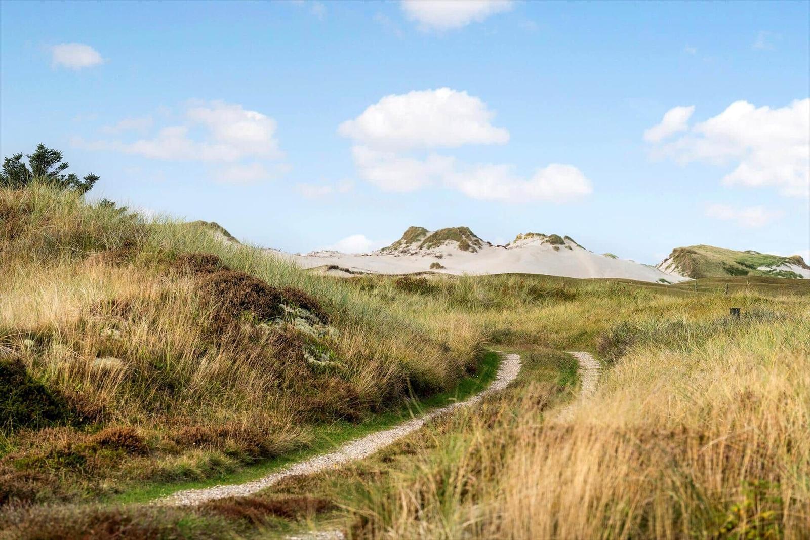 Weg durch Grasland zu Dünen unter blauem Himmel.