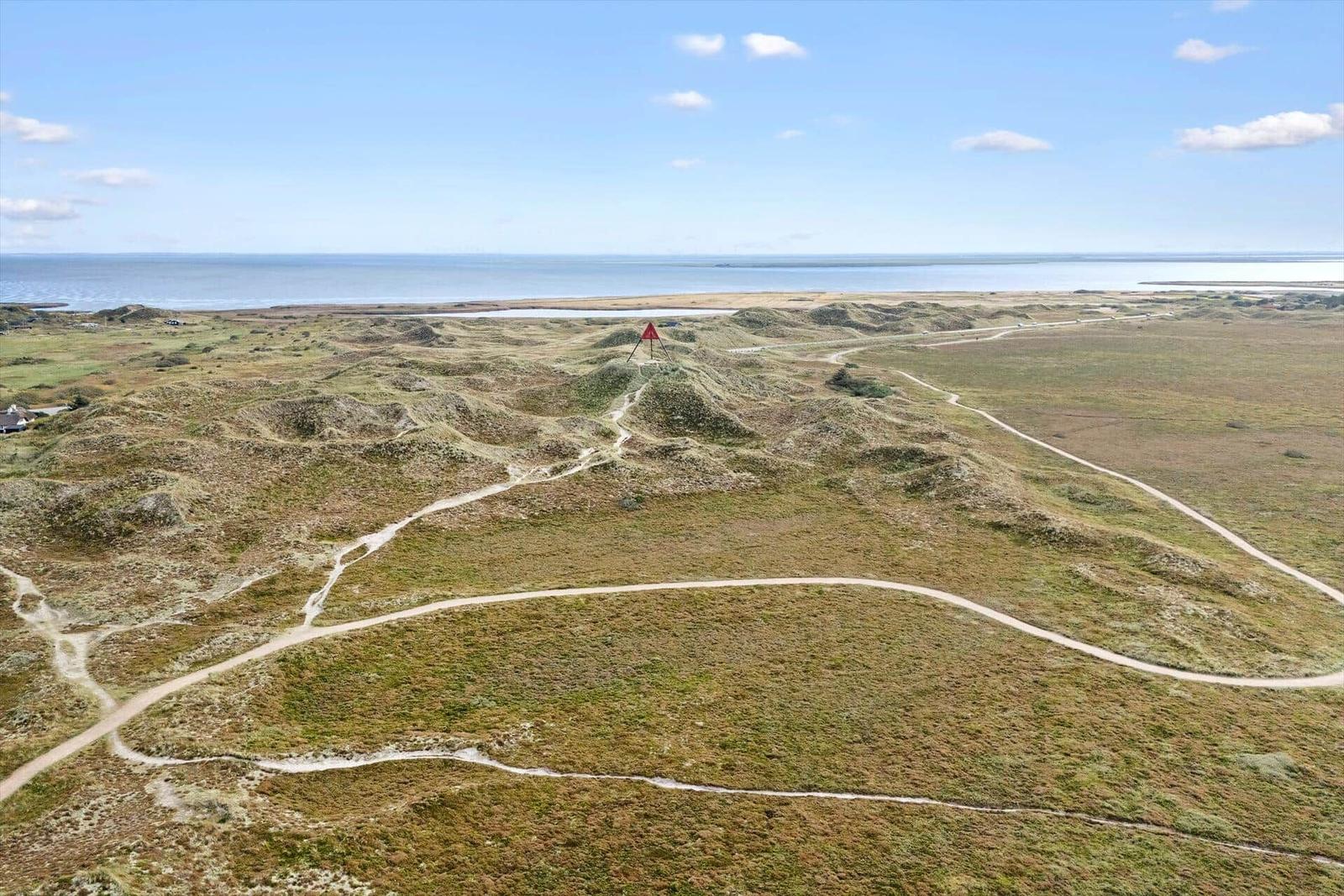 Weitläufige Dünenlandschaft mit Wanderwegen und Blick auf die Nordsee.