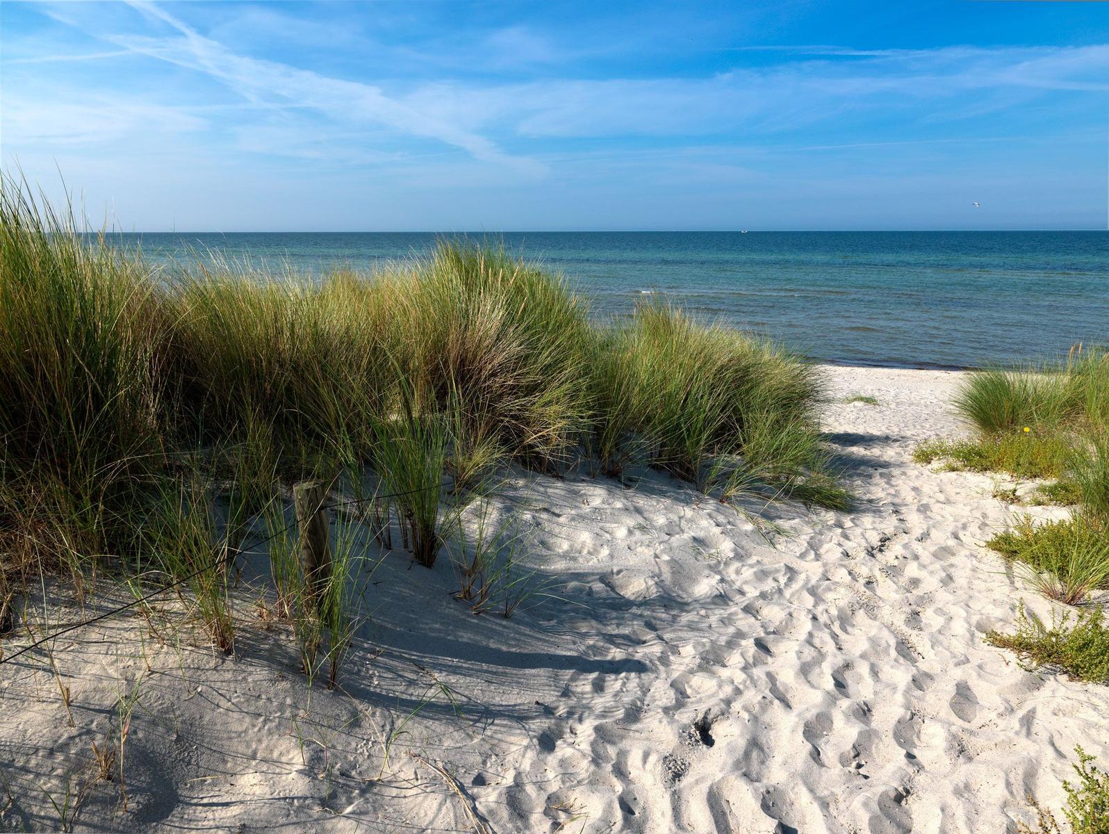 Sanddünen mit Strandgras und Blick auf das Meer.