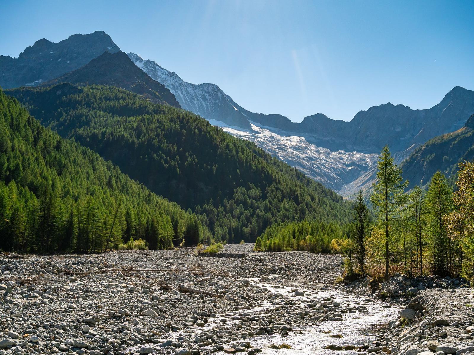 Gletscherlandschaft mit Wald und Steinfluss im Vordergrund.