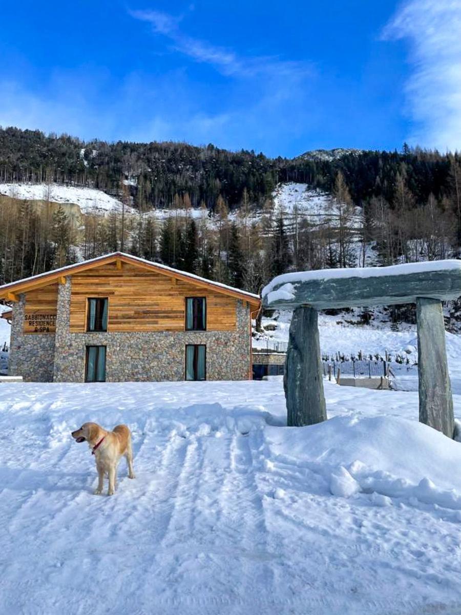 Schneebedecktes Haus mit Steinportal und Hund vor Berglandschaft.