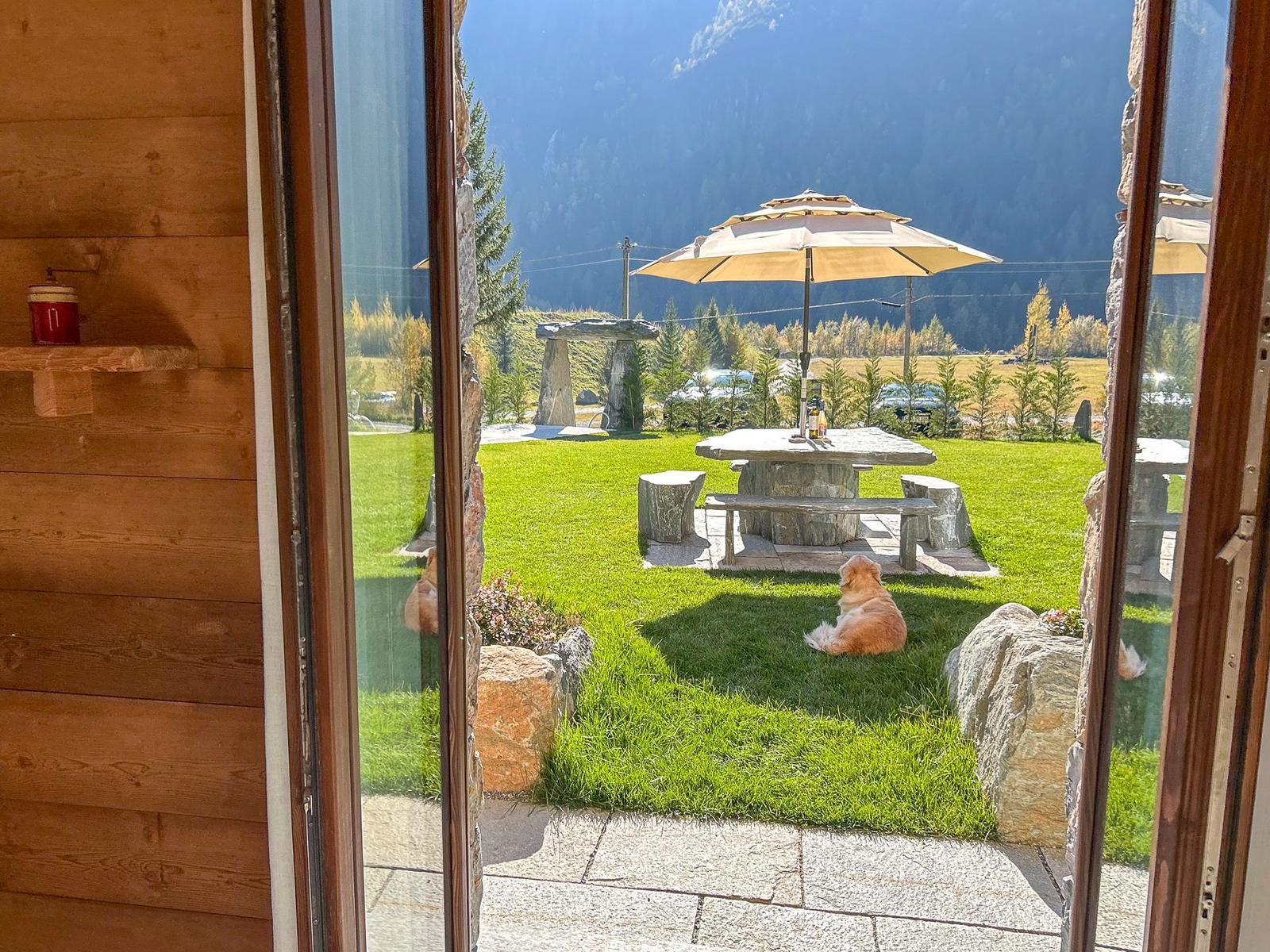 Durch die Glastür blickt man auf eine grüne Terrasse mit Tisch, Sonnenschirm und Hund.