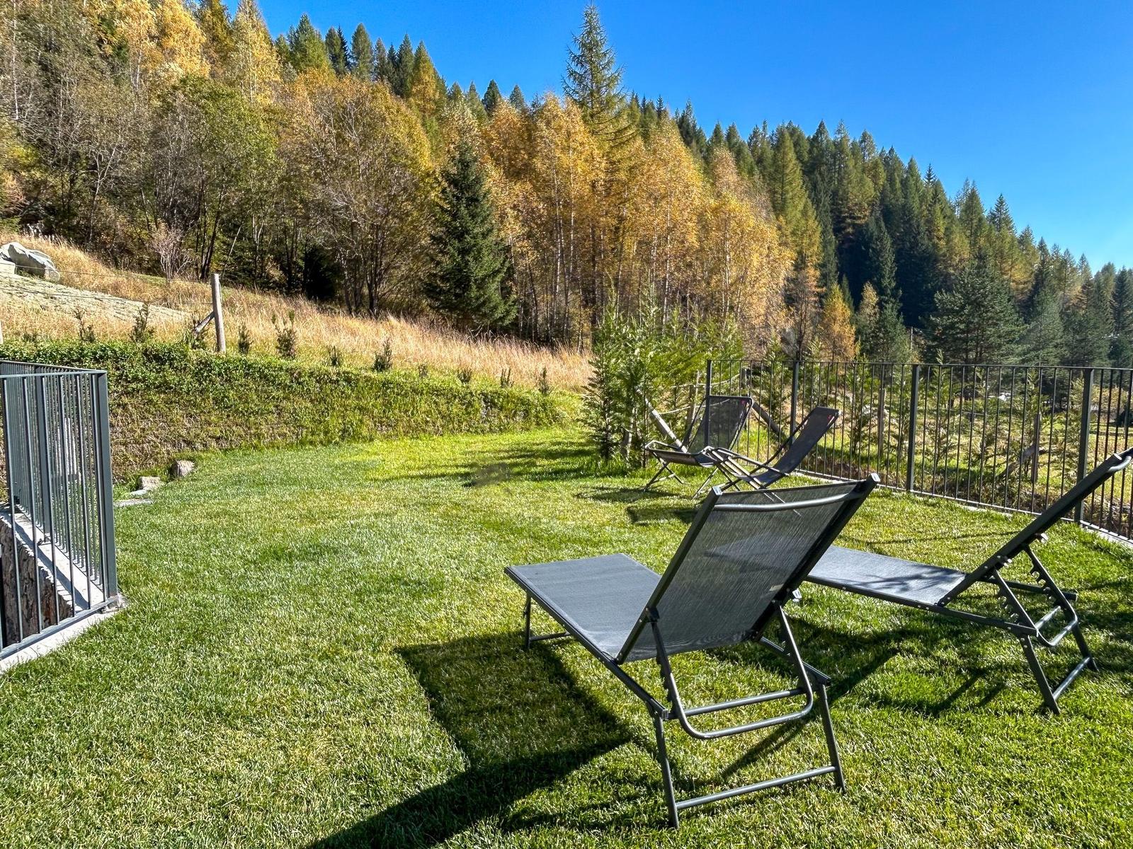 Grüner Garten mit Liegestühlen und Waldblick.