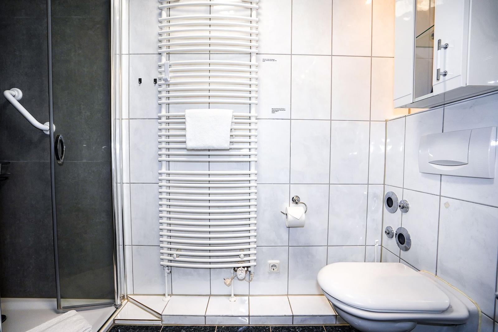 Badezimmer mit Dusche, Toilette und Heizkörper.