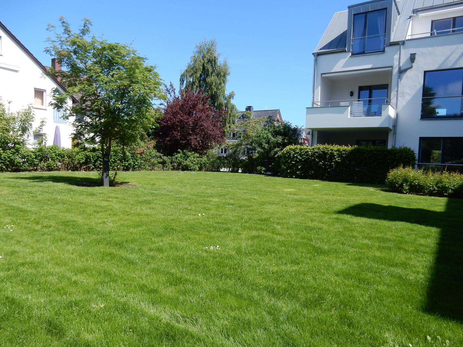 Grüner Rasenbereich mit Bäumen und modernen Häusern im Hintergrund.