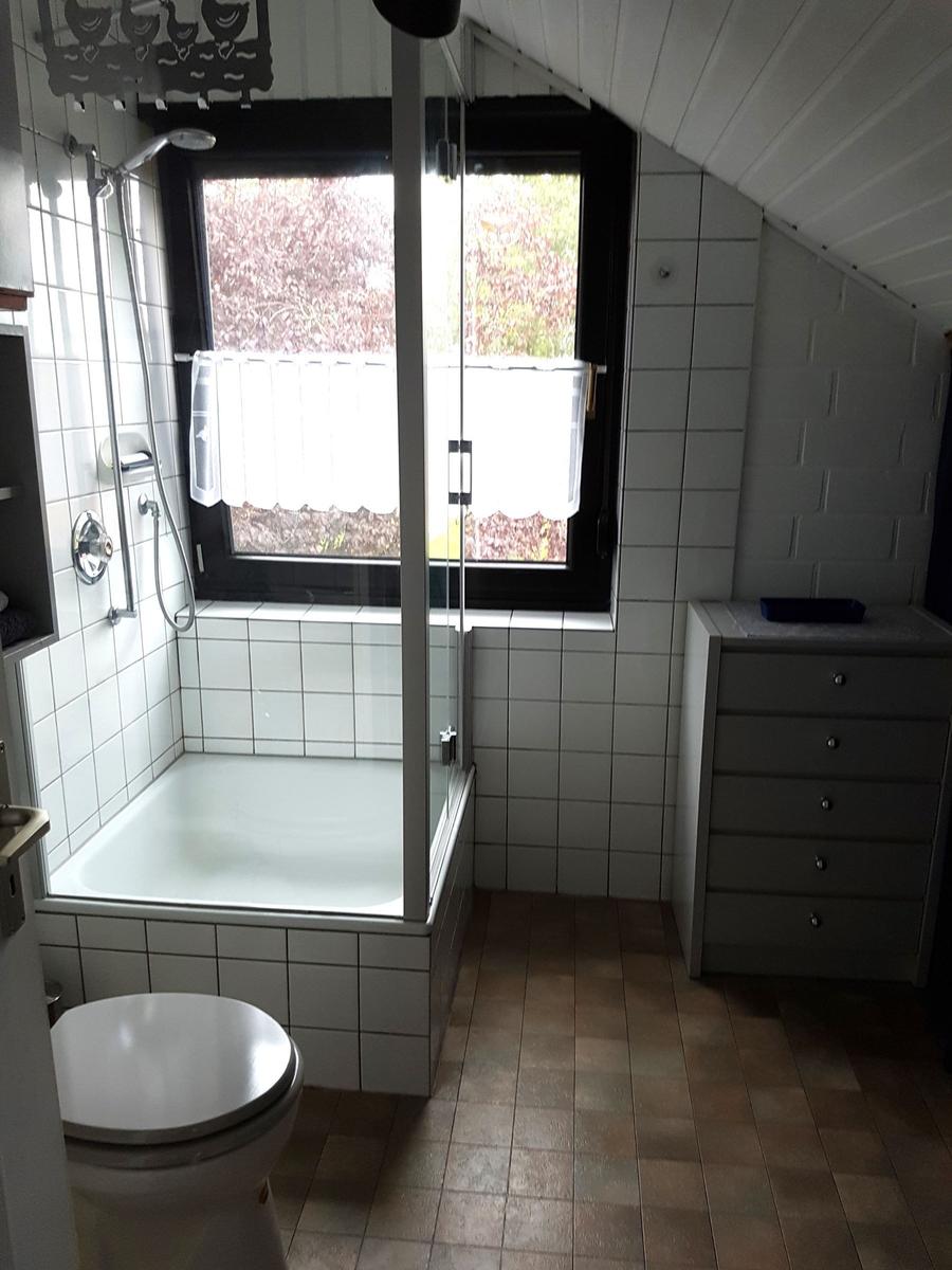 Badezimmer mit Dusche, Toilette und Schrank. Fenster mit Vorhang.