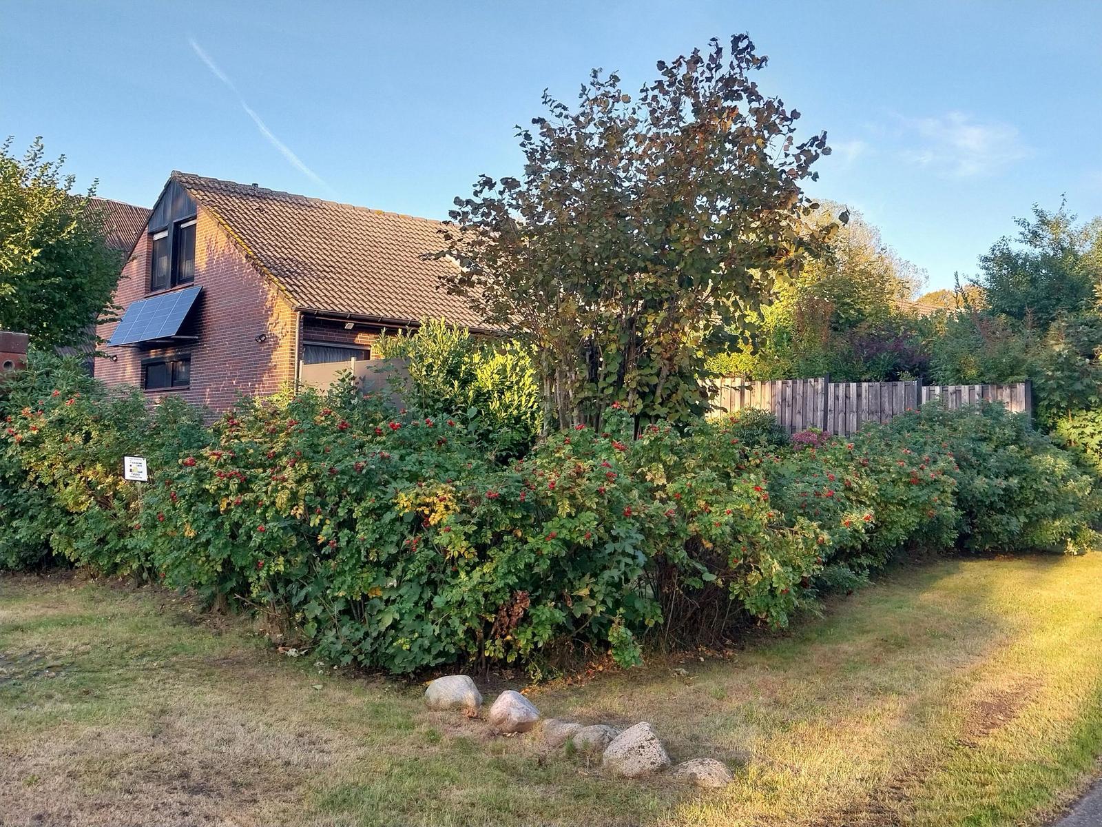 Haus mit Solaranlage, Gartenhecke und Bäumen unter blauem Himmel.