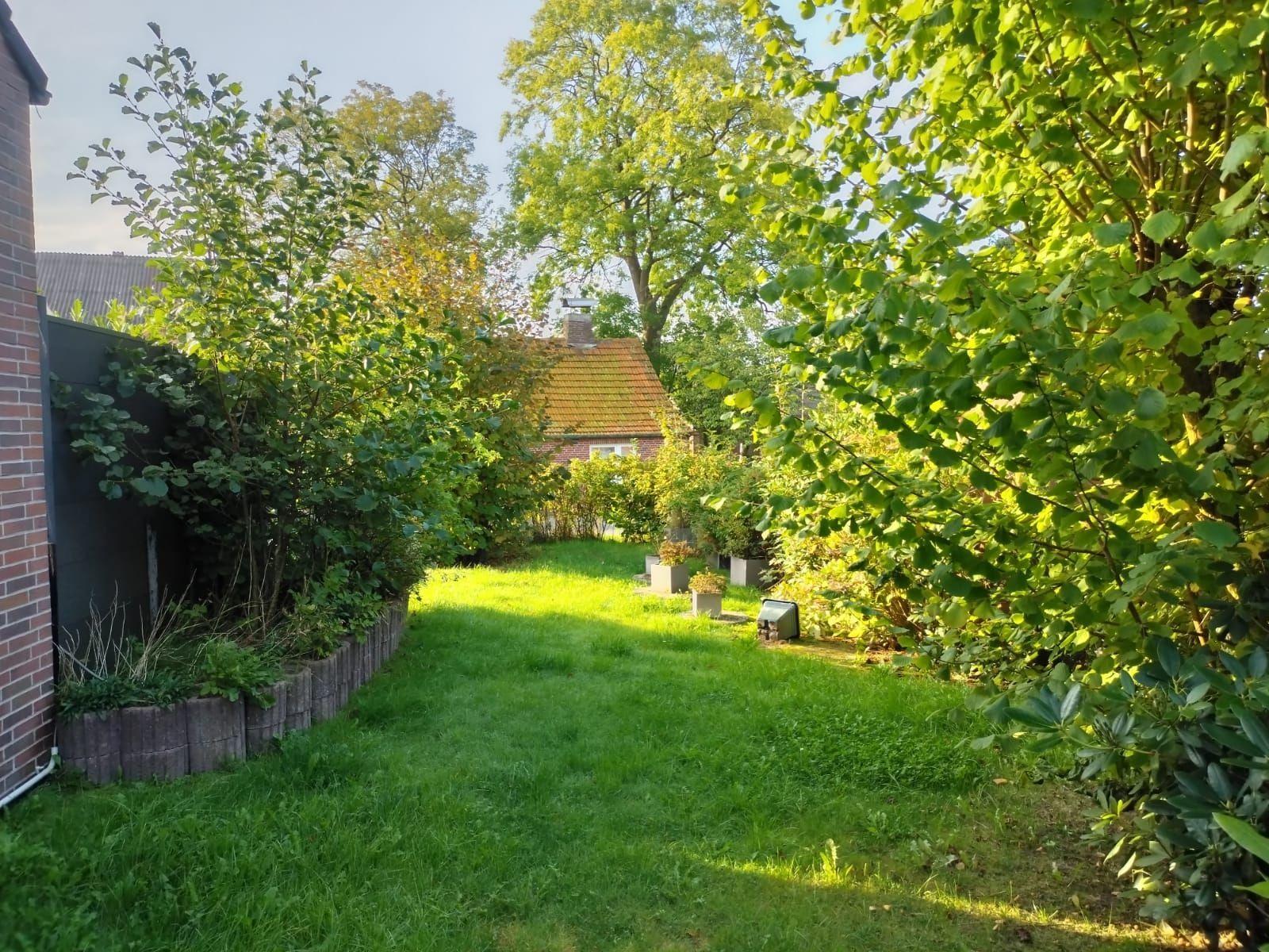 Grüner Gartenweg führt durch Bäume zu einem Haus mit rotem Dach.