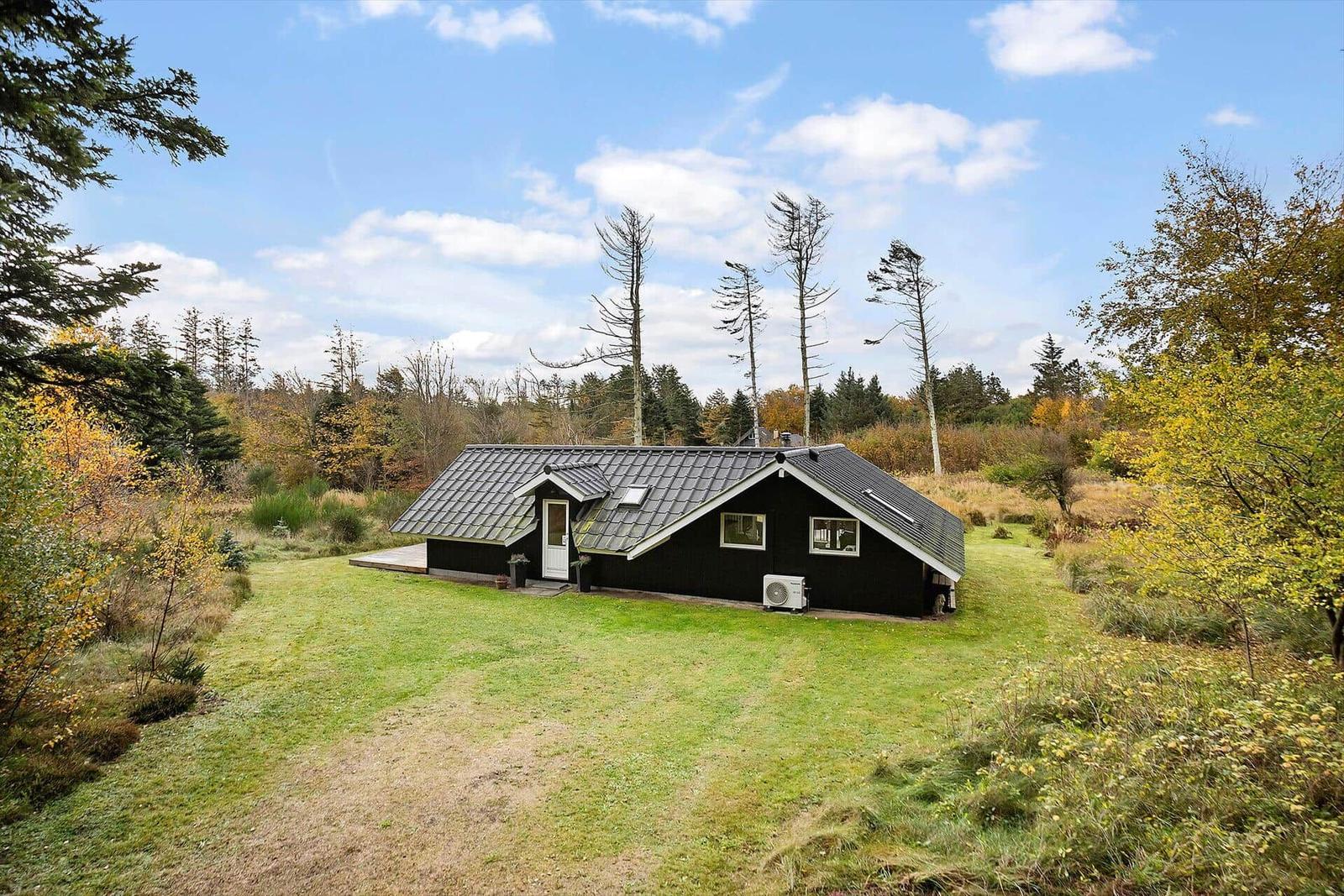 Black house with roof and windows on green ground