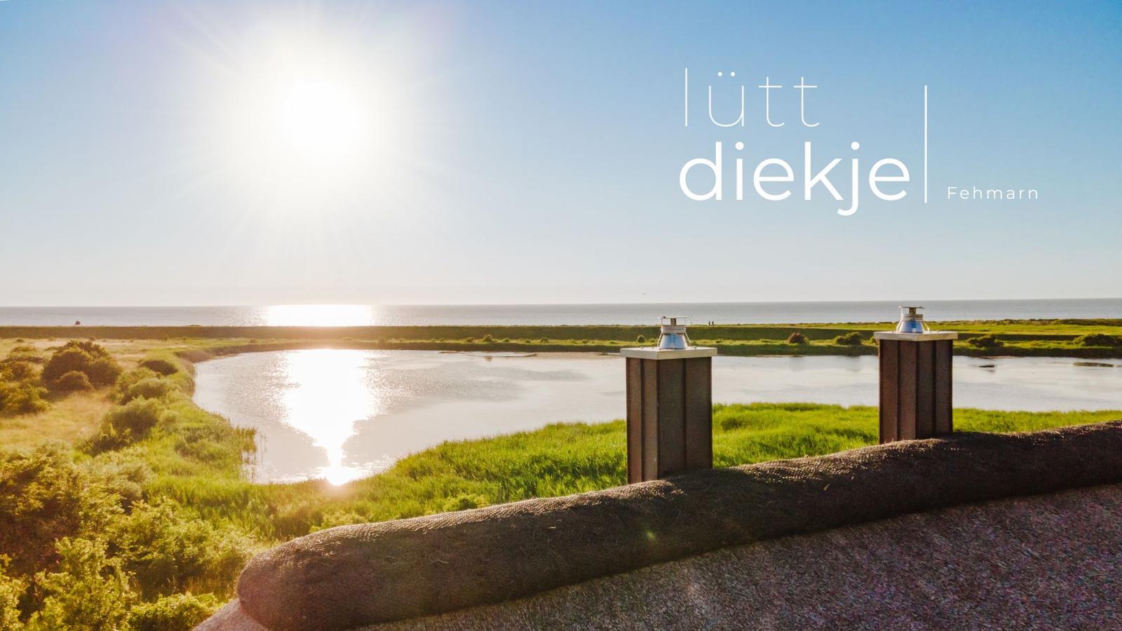 Lütt diekje Fehmarn bietet Blick auf See und Moor.