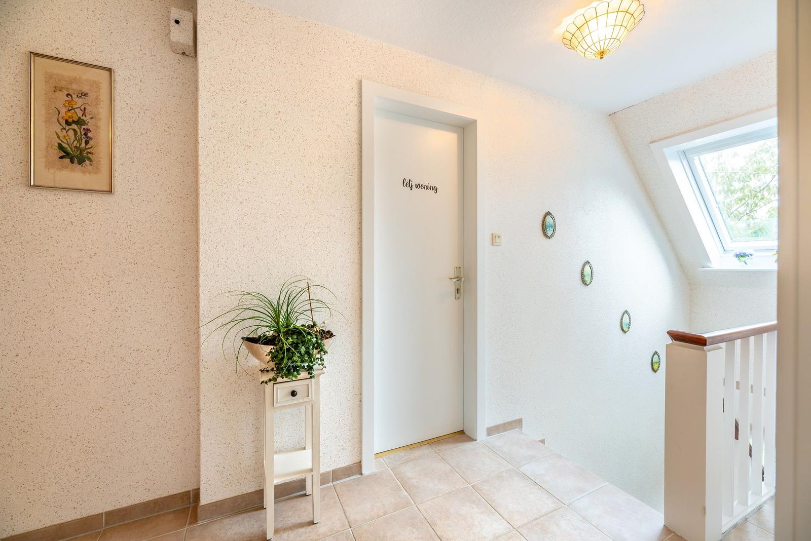 Eingangsbereich mit Tür, Pflanze und Dachfenster.