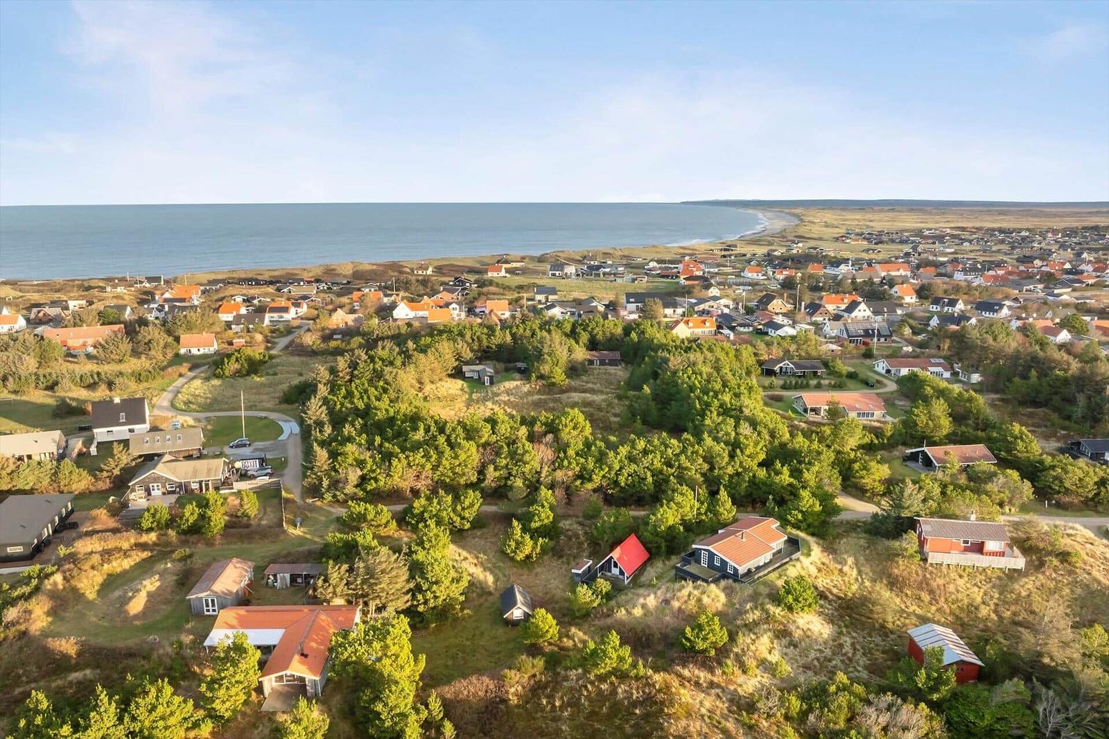 Aerial view of coastal village with houses, trees, and sea.