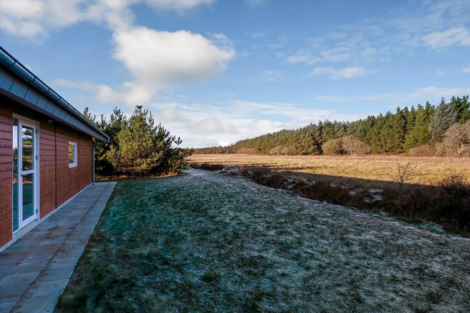House with wooden facade, frost-covered lawn, and forest in the background.