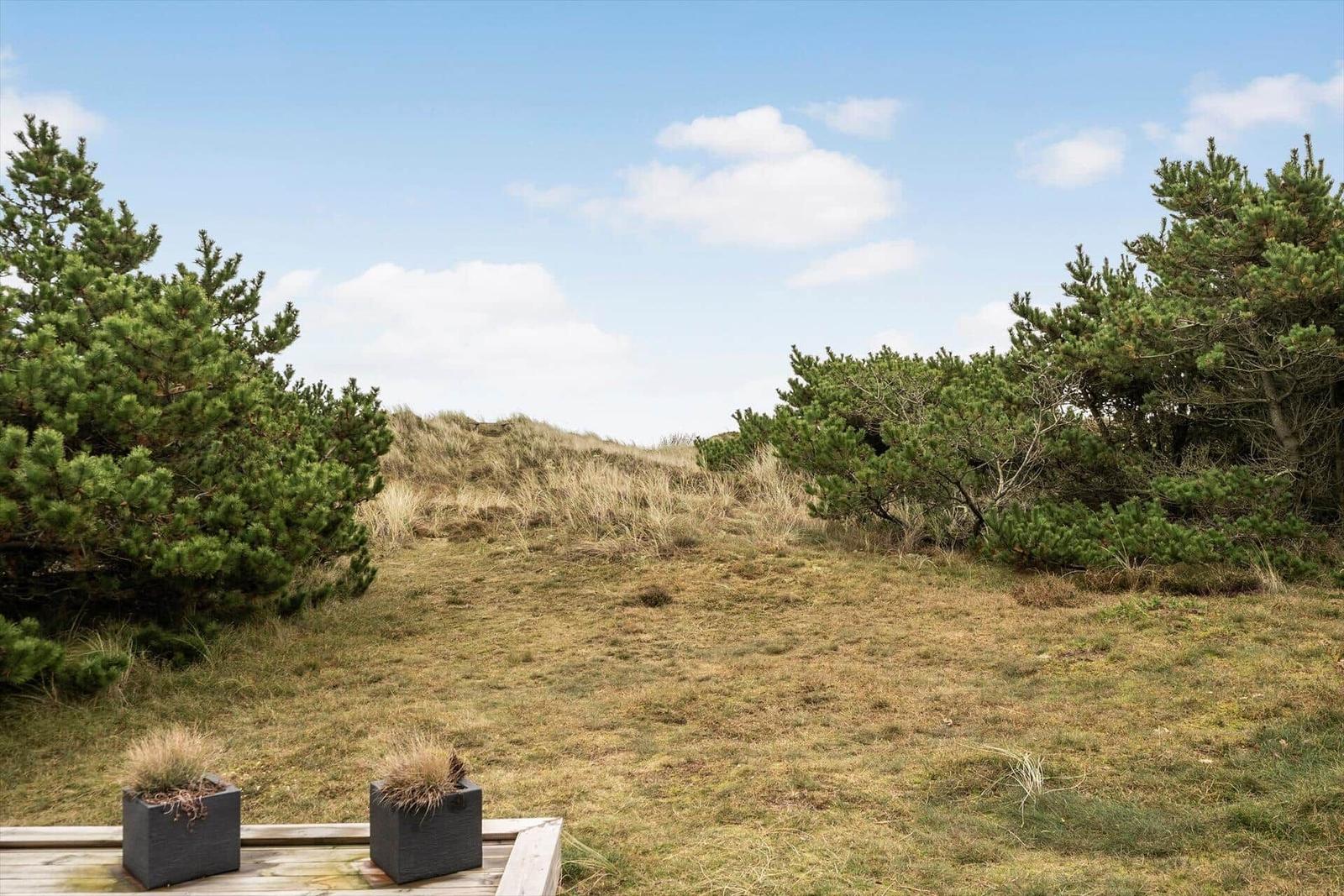 Holzterrasse mit Pflanzkübeln, Blick auf Dünen mit Gras und Nadelbäumen unter blauem Himmel.